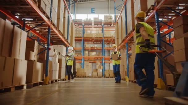 Grand entrepôt avec boîtes en carton et personnes travaillant — Video
