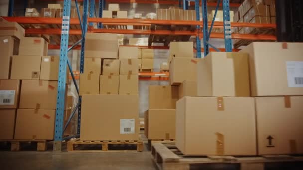 Karton kutuları ve çalışanları olan büyük bir depo. — Stok video