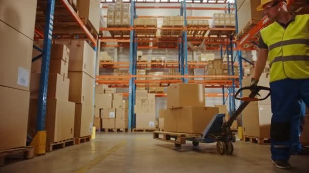 装有纸板箱和工作人员的大型仓库 — 图库视频影像