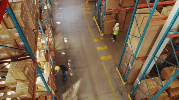 Lavoratori con vista dall'alto verso il basso che lavorano nel magazzino occupato — Video Stock