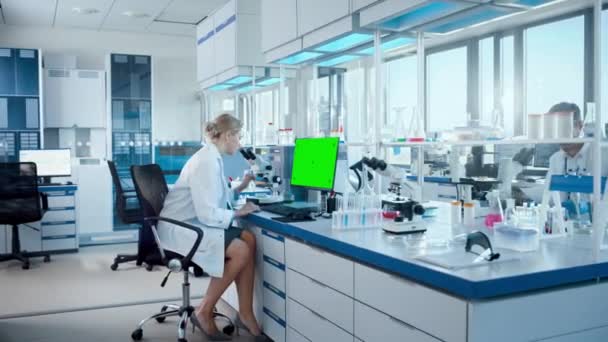 Laboratorium Badań Medycznych Naukowiec korzystający z komputera Green Screen — Wideo stockowe