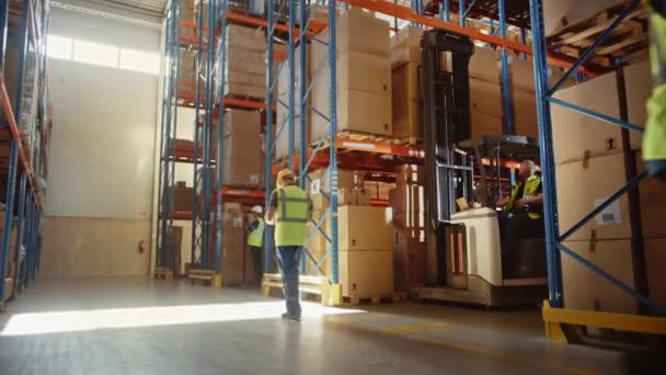 Warehouse Forklift Drivers Working — Stockvideo