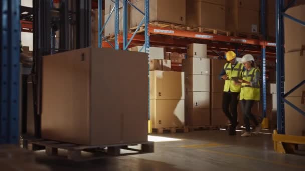 Warehouse Professionals Working — Wideo stockowe