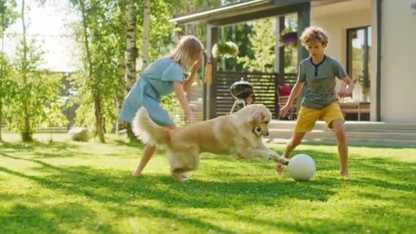 Kinderen spelen met Golden Retriever Dog in de achtertuin — Stockvideo