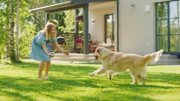 Girl Play With Golden Retriever Dog in Backyard — Stok Video