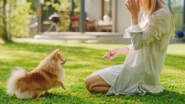 Young Woman Pets Cute Pomeranian Dog — Stock Video