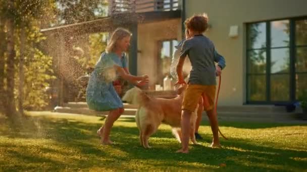 Padre figlia e figlio giocare con tubo Golden Retriever cane in cortile — Video Stock