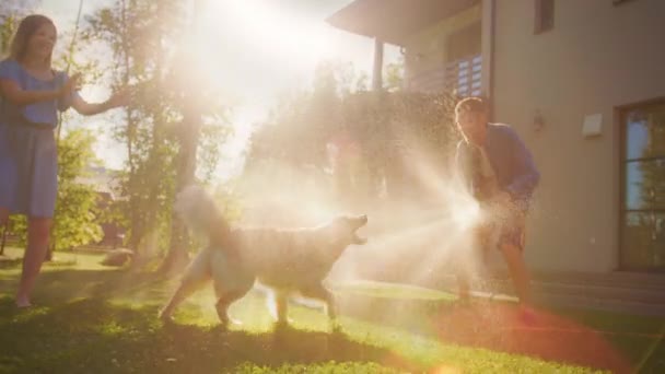 Familie speelt met Golden Retriever Dog in de achtertuin — Stockvideo