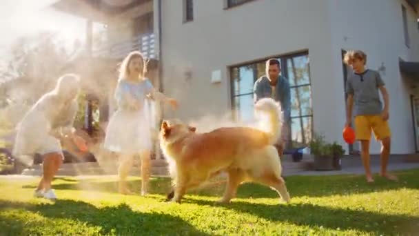 Családi használat Víz tömlő játszani kutya — Stock videók