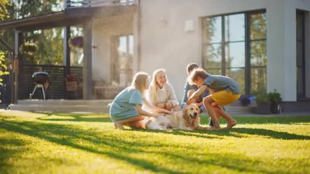 Familia utiliza manguera de agua para jugar con el perro — Vídeos de Stock