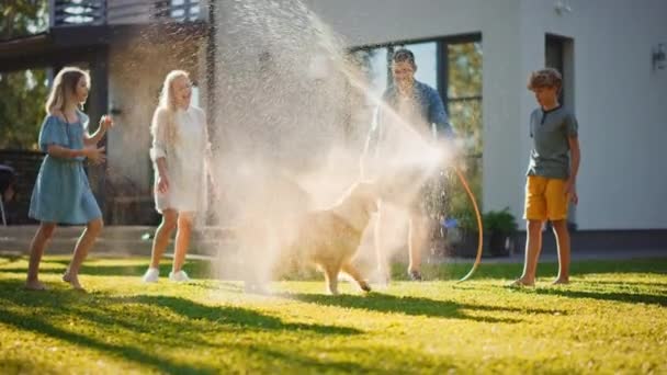 Familia utiliza manguera de agua para jugar con el perro — Vídeos de Stock