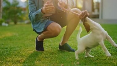 Adam dışarıda Pürüzsüz Tilki Teriyer Köpeğiyle oynuyor