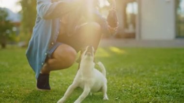 Adam dışarıda Pürüzsüz Tilki Teriyer Köpeğiyle oynuyor