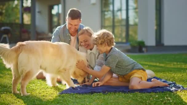 Сімейний домашній золотошукач Собака на задньому дворі — стокове відео