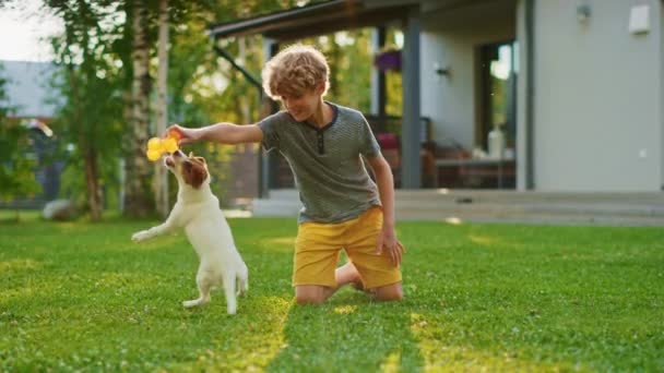 Jongen speelt met kleine gladde Fox Terrier Dog — Stockvideo
