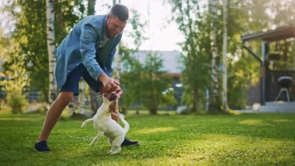 Muž hraje s hladkým Fox teriér pes venku — Stock video