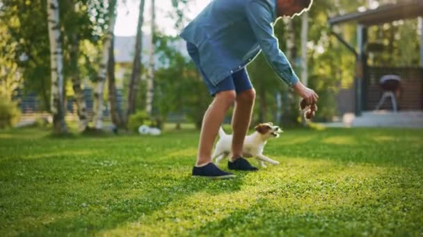 L'homme joue avec le chien Fox Terrier lisse à l'extérieur — Video