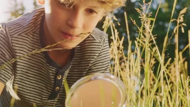 Στη Φύση Νεαρό αγόρι εξερευνά με μεγεθυντικό γυαλί — Αρχείο Βίντεο