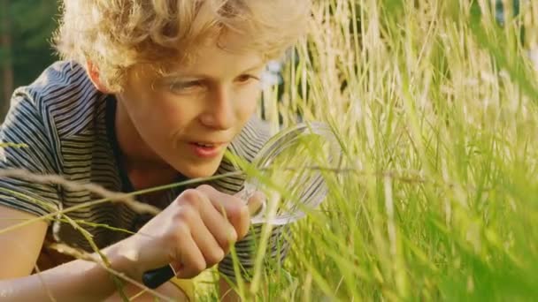 Στη Φύση Νεαρό αγόρι εξερευνά με μεγεθυντικό γυαλί — Αρχείο Βίντεο