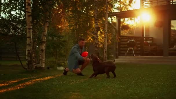 L'uomo gioca con Labrador Retriever Dog nel cortile — Video Stock