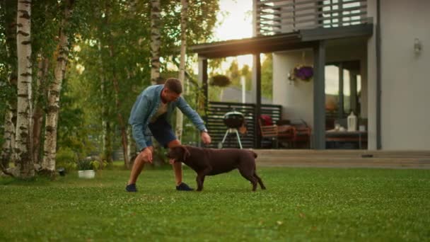 Man Plays with Labrador Retriever Dog In Backyard — Stock Video