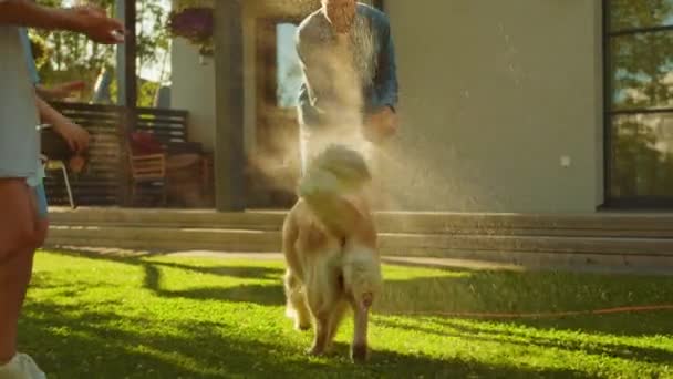 Famille joue avec Golden Retriever chien dans la cour arrière — Video