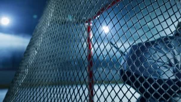 Хоккейные ворота — стоковое видео