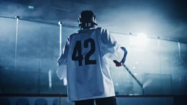 Jugador de hockey sobre hielo celebra — Vídeos de Stock