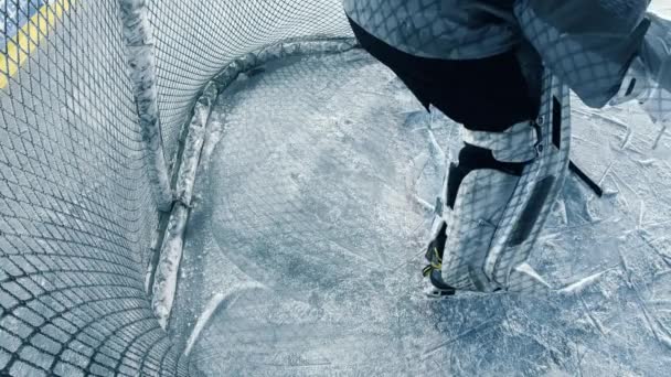 Hokej na lodzie Cel wewnętrzny — Wideo stockowe