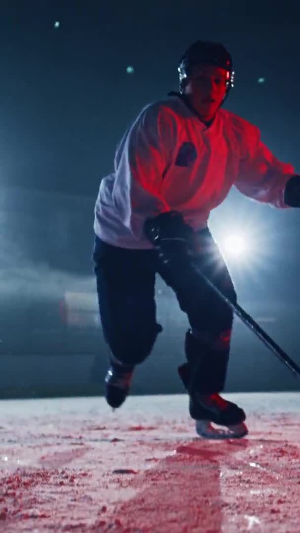 Vertikal skärm Ishockey Player — Stockvideo