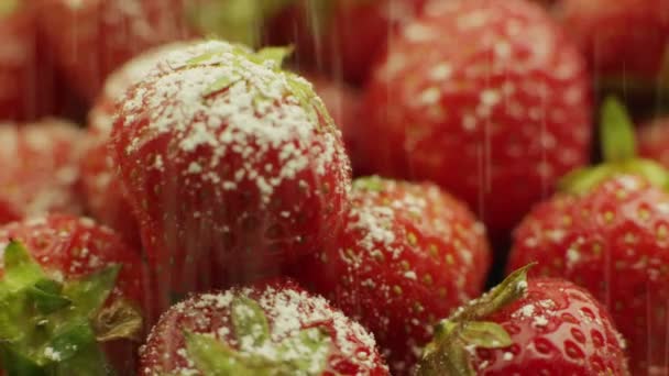 Espolvorear azúcar en polvo sobre fresas — Vídeos de Stock