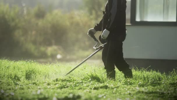 Hombre cortando hierba cubierta con cortacésped — Vídeo de stock