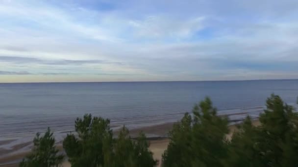 Εναέρια πυροβολισμό του Beach και μπλε θάλασσα, κοντά στο δάσος — Αρχείο Βίντεο