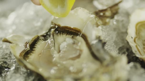 Espremendo suco de limão em ostras preparadas — Vídeo de Stock
