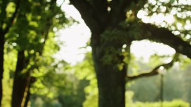 Run hazırlanıyor, kulaklıklar koyarak kız. Flok atış.