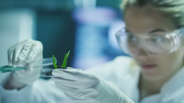 Mujer científica en gafas hace investigaciones biológicas — Vídeo de stock