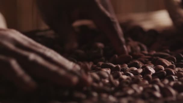 Trabajador africano está clasificando grano de café — Vídeos de Stock