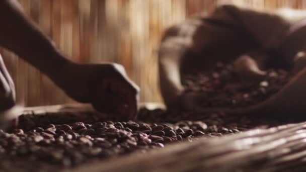 Travailleur africain est le tri des grains de café — Video