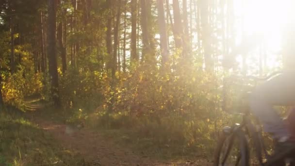 El hombre está en bicicleta en el bosque a la luz del sol — Vídeos de Stock