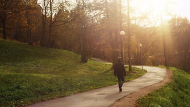 Man is Walking in Park. — Stock Video