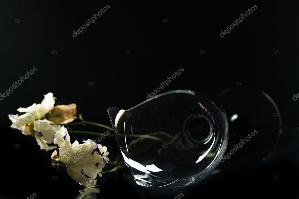 Broken Glass Vase Dried White Flowers Black Background Stock