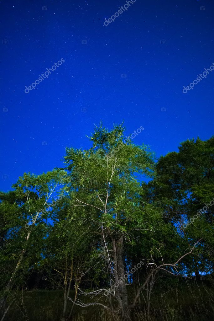 photollurg2
