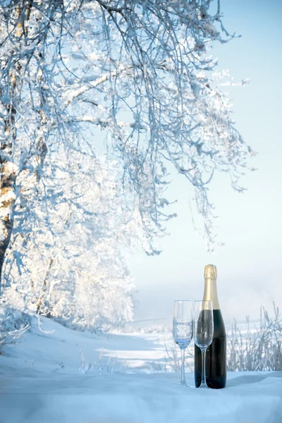 Шампанське на зимовому фоні — стокове фото