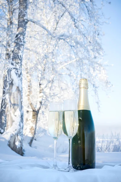 Шампанське на зимовому фоні — стокове фото