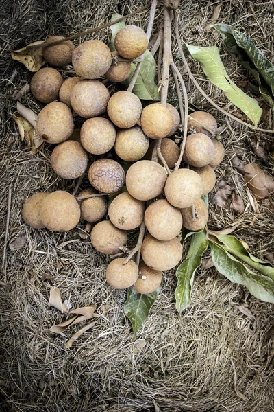 Organik taze longan kadar kapatın