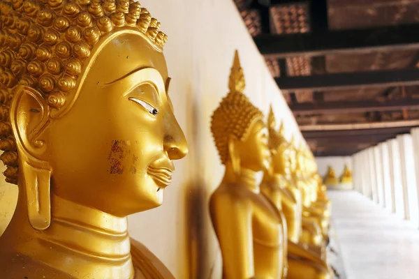 Rangée de bouddha doré statue — Photo