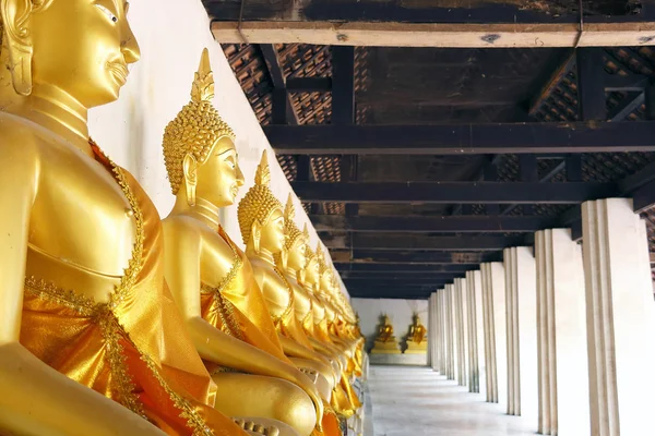 Rangée de bouddha doré statue — Photo