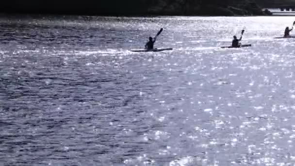 Gruppe-Kajakfahrer am Fluss — Stockvideo