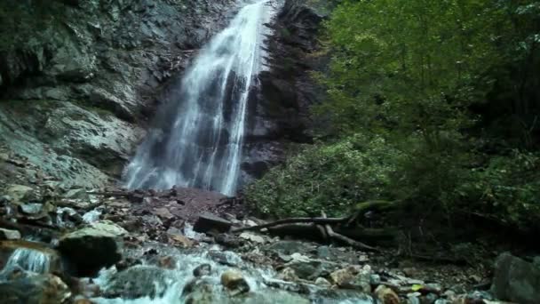 Горный ручей с водопадом — стоковое видео