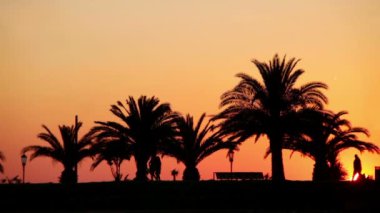 iz kıyısında yürüyen insanlar